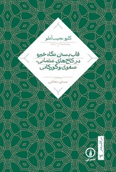 در اقلیم هنر3-قاب بستن نگاه خیره/نی