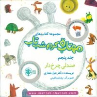 مهتاب و کرم شب تاب 5_ صندلی چرخ دار /غفاری موفق