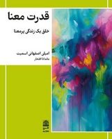 قدرت معنا / طرح نقد