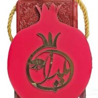 حافظ پالتویی چرم با ساک طرح انار 110212 / پیام عدالت