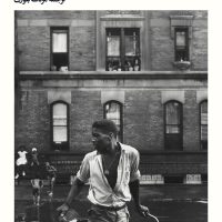 خشم در هارلم / بیدگل