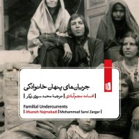 جریانهای پنهان خانوادگی /بیدگل