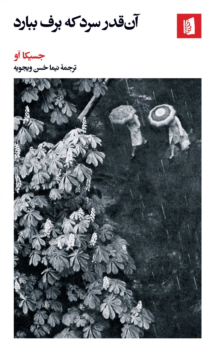 آن قدر سرد که برف ببارد/بیدگل