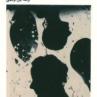 مرگ من / بیدگل