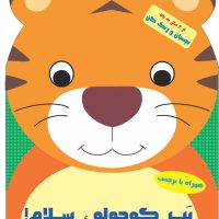 کتاب بازی ، هوش _ سرگرمی و تلاش ببر پرتلاش/آبشن